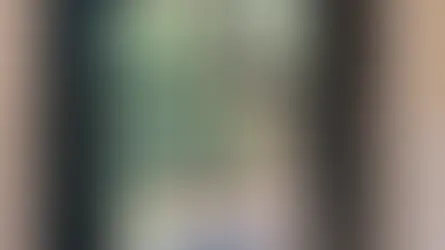 Antique Window Restoration