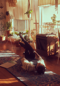 MueblesCuevas-AkashaSilvana_1015.png