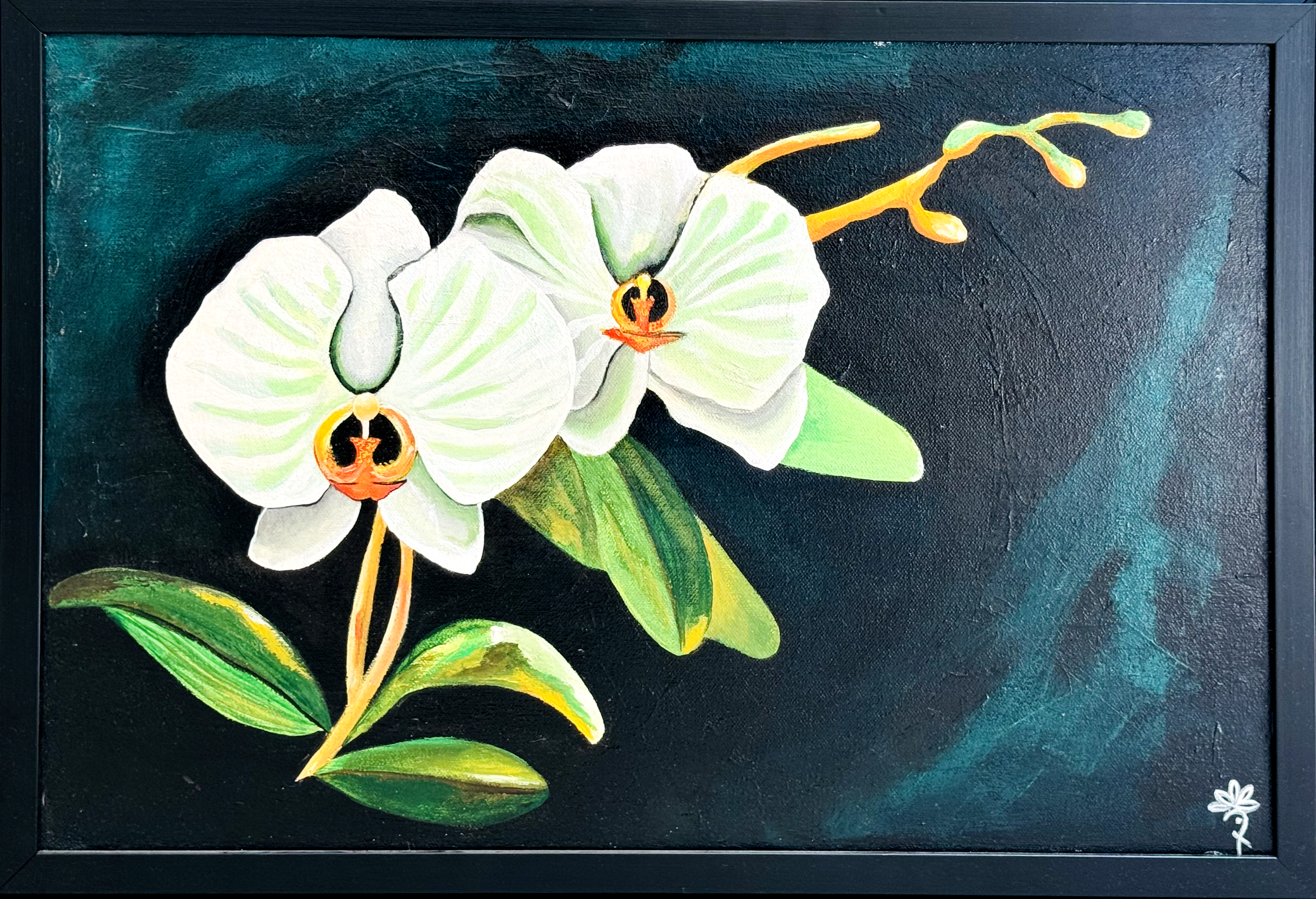 Orchid Elegance