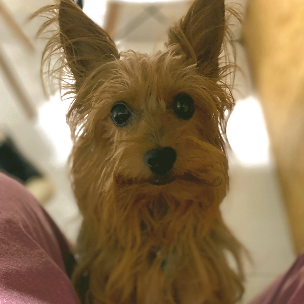 WhatsApp Image 2025-04-28 at 17_edited_edited.png