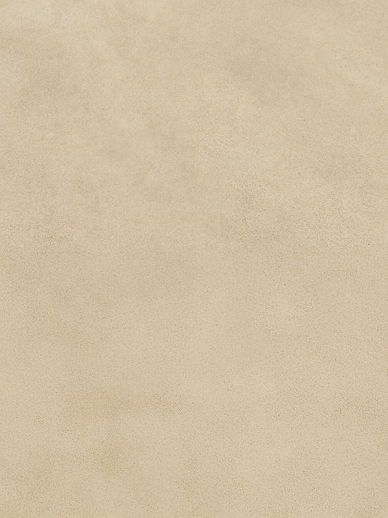 AdobeStock_255547734.jpeg