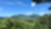 IMG_3005.jpeg