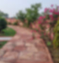 20240629_172844.jpg