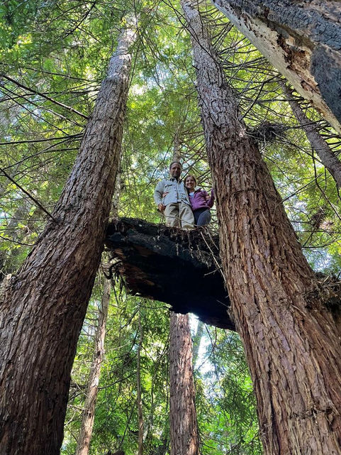 256718de-98f3-4bcf-9935-75e6ef65398b 2.JPG