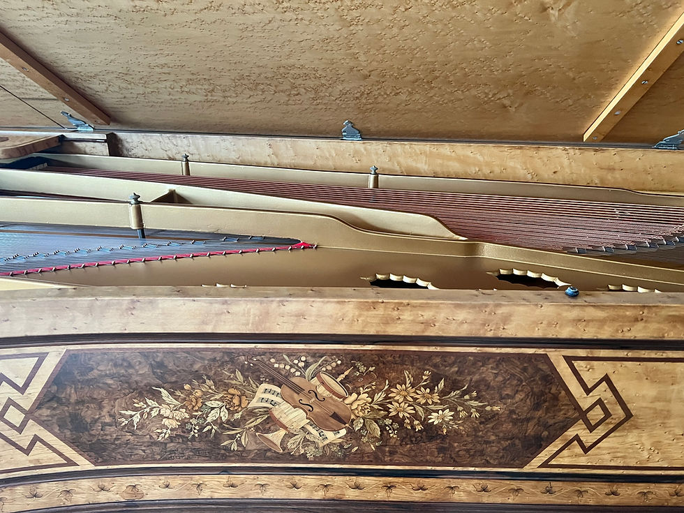 Thumbnail: STEINWAY Very Rare Custom 9 foot Grand