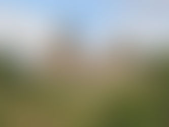 Why do Brides throw their bouquet, and Grooms toss the Bridal garter?