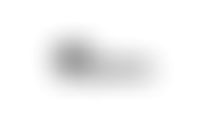 Neo-Concept International Group Holdings Limited (NCI)