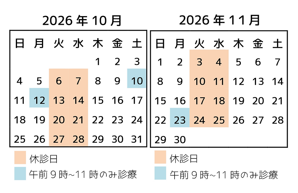 休診日カレンダー(徳島県海陽町の整骨院)