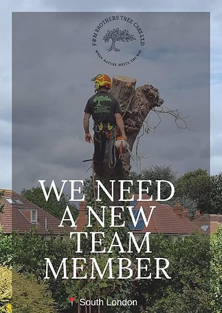 recruitment_edited.jpg