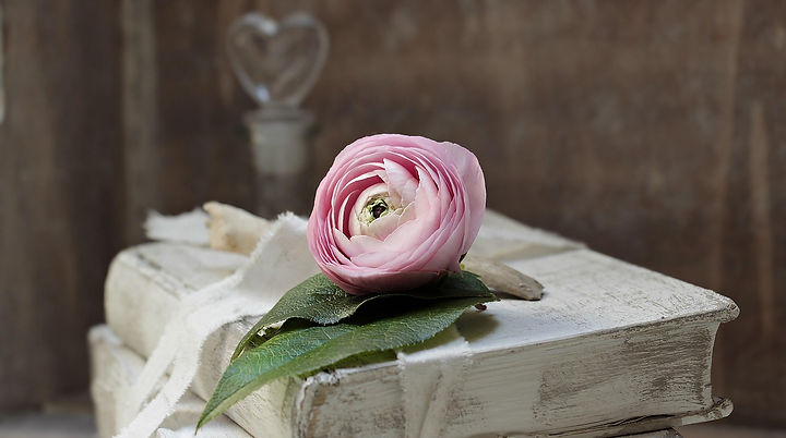 rose1.jpg