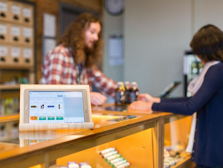 What is the endocannabinoid system and how can you keep it healthy?
