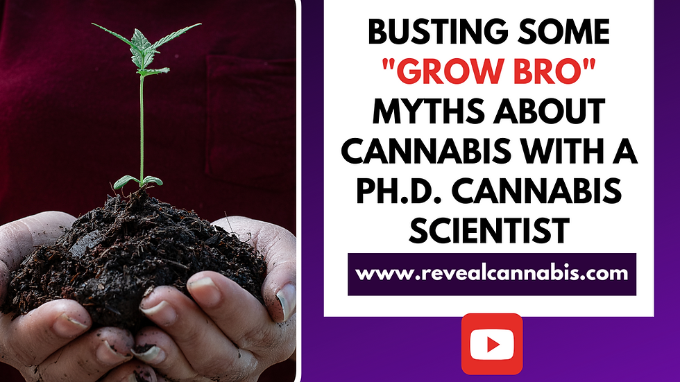 growing cannabis, cannabis grow myths, do you need to flush cannabis