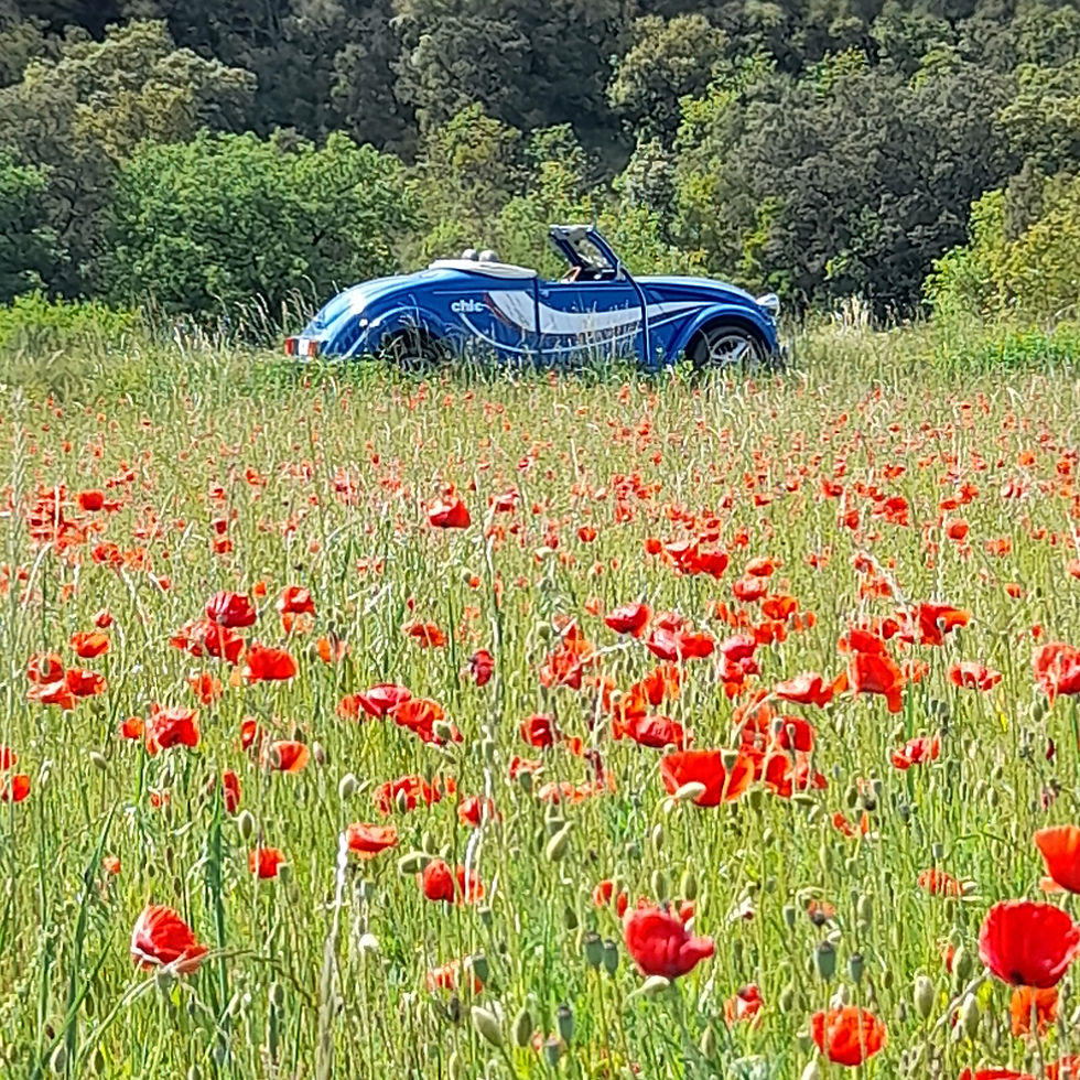 passion-mehari-cevennes.jpg