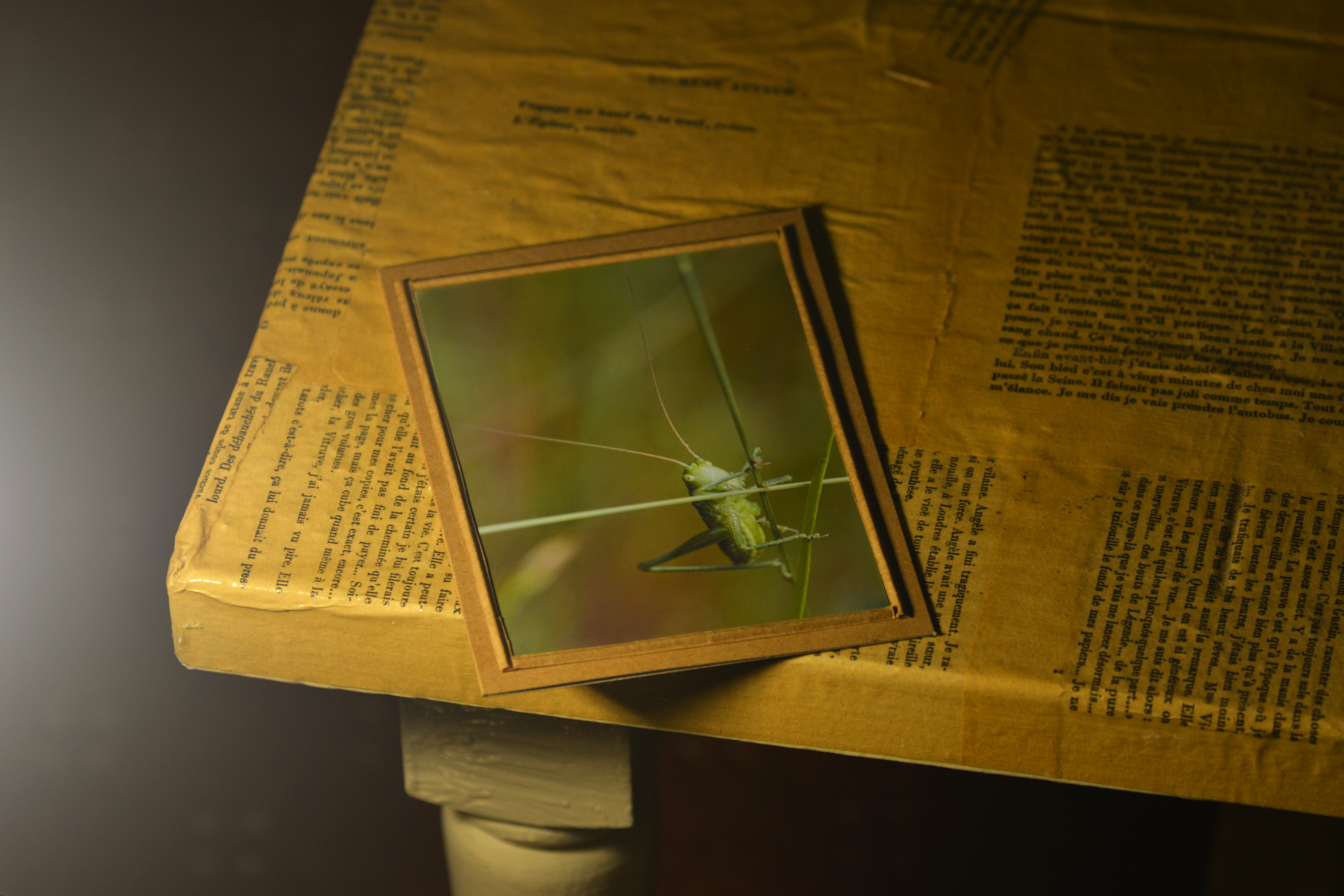 Carte postale & enveloppe