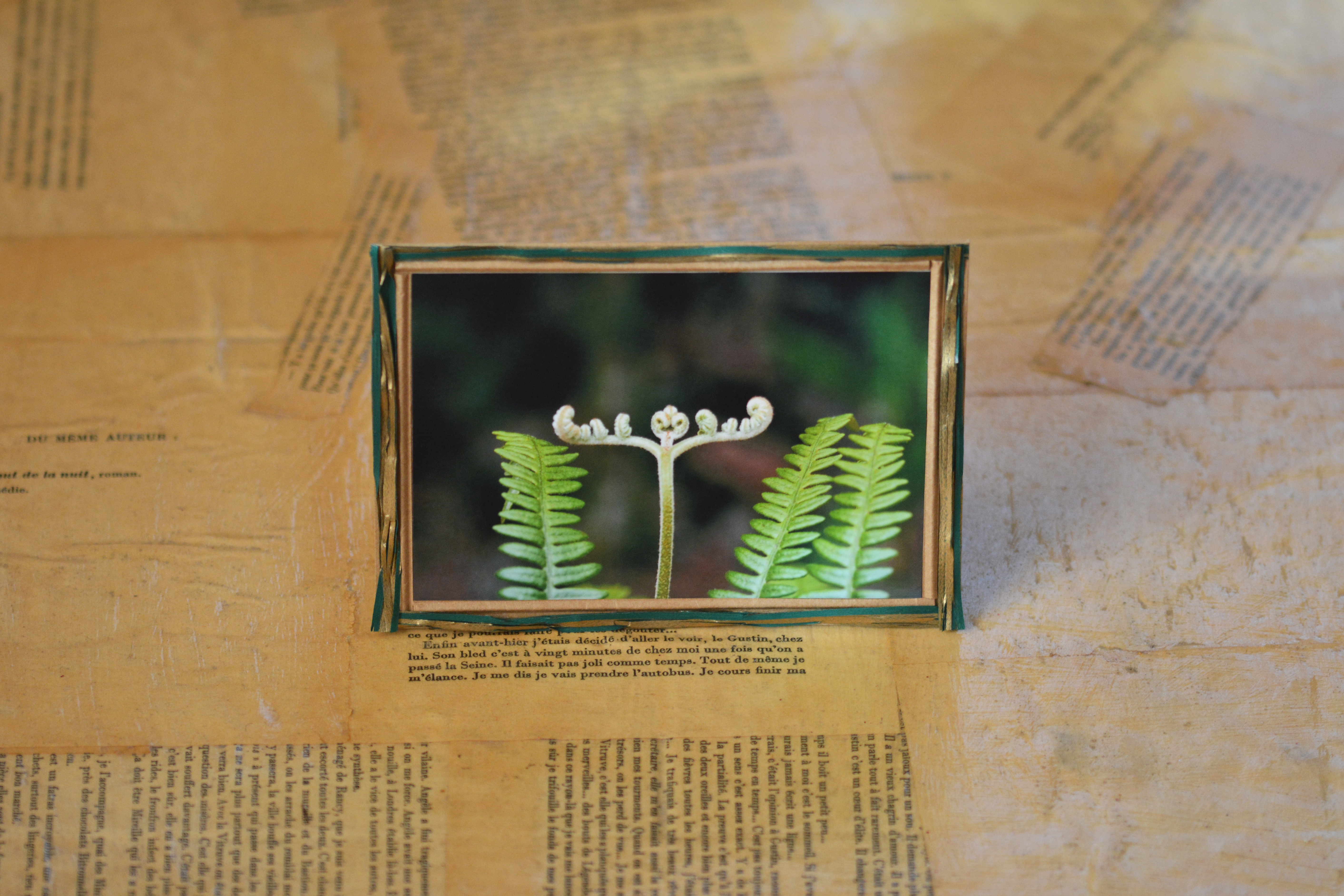 Carte postale & enveloppe