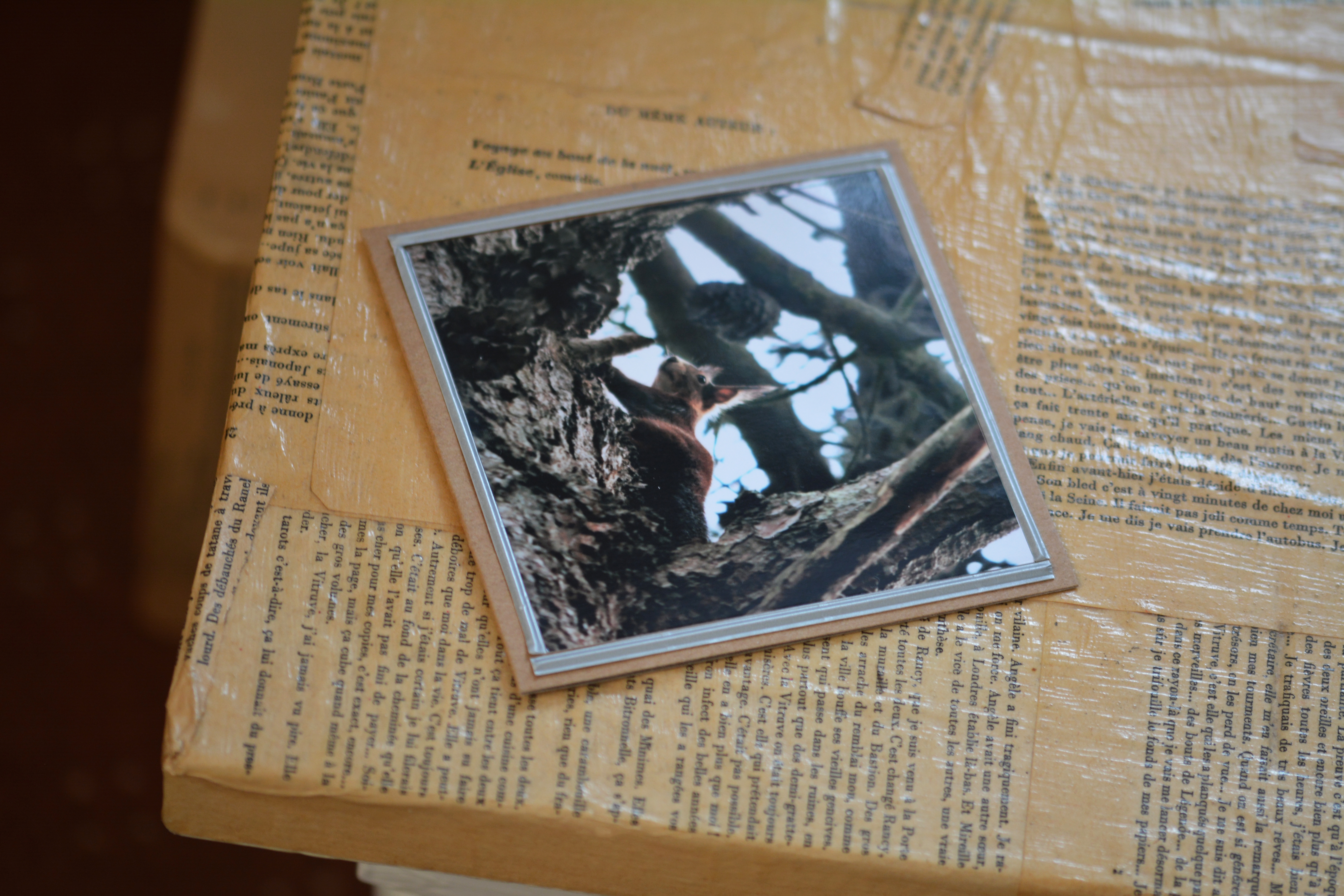 Carte postale & enveloppe
