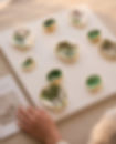 Jewels & Matcha Shell Art 3.jpeg