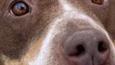 Science Meets Compassion