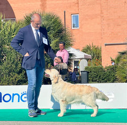 Chieti 2022