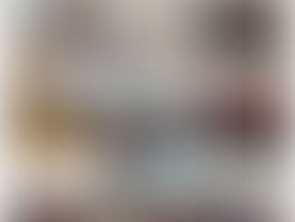 Fotos da 2ª Sessão Plenária AMeB