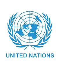 Dr. Osa Omokaro's advocacy at the United Nations (UN) for digital inclusion for Older persons