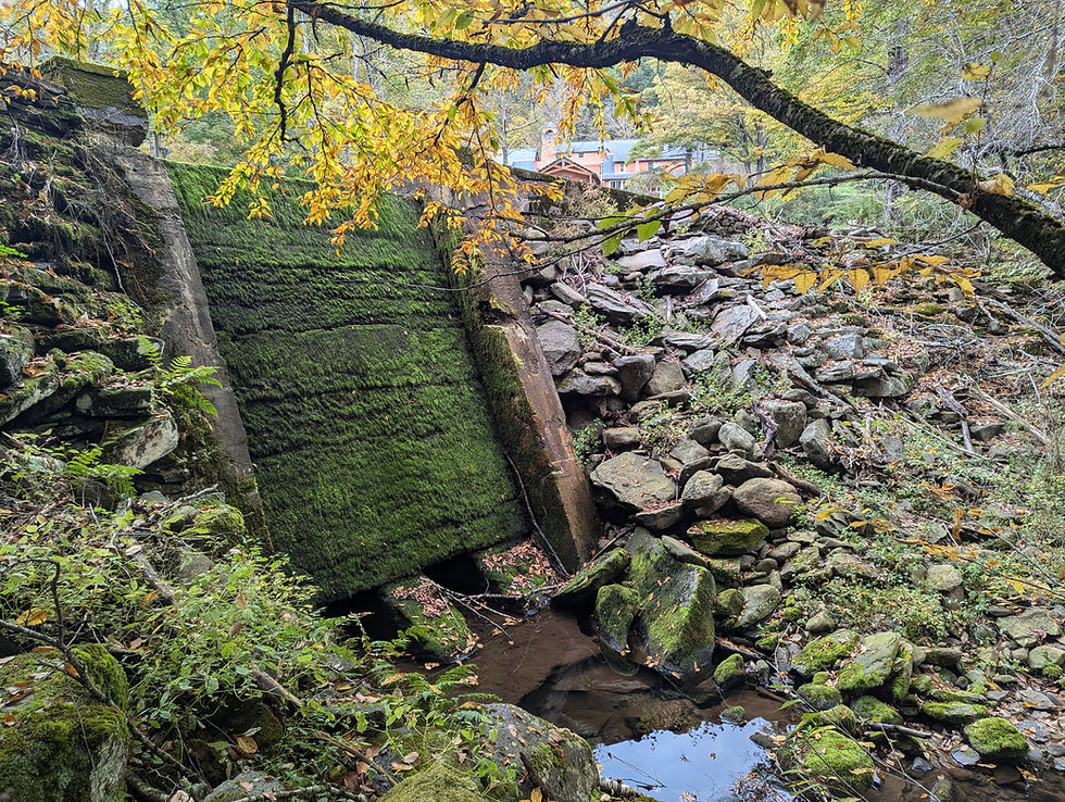 PXL_20240930_164012418.jpg
