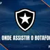 Onde assistir botafogo hoje