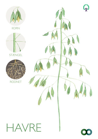 Educational illustrations