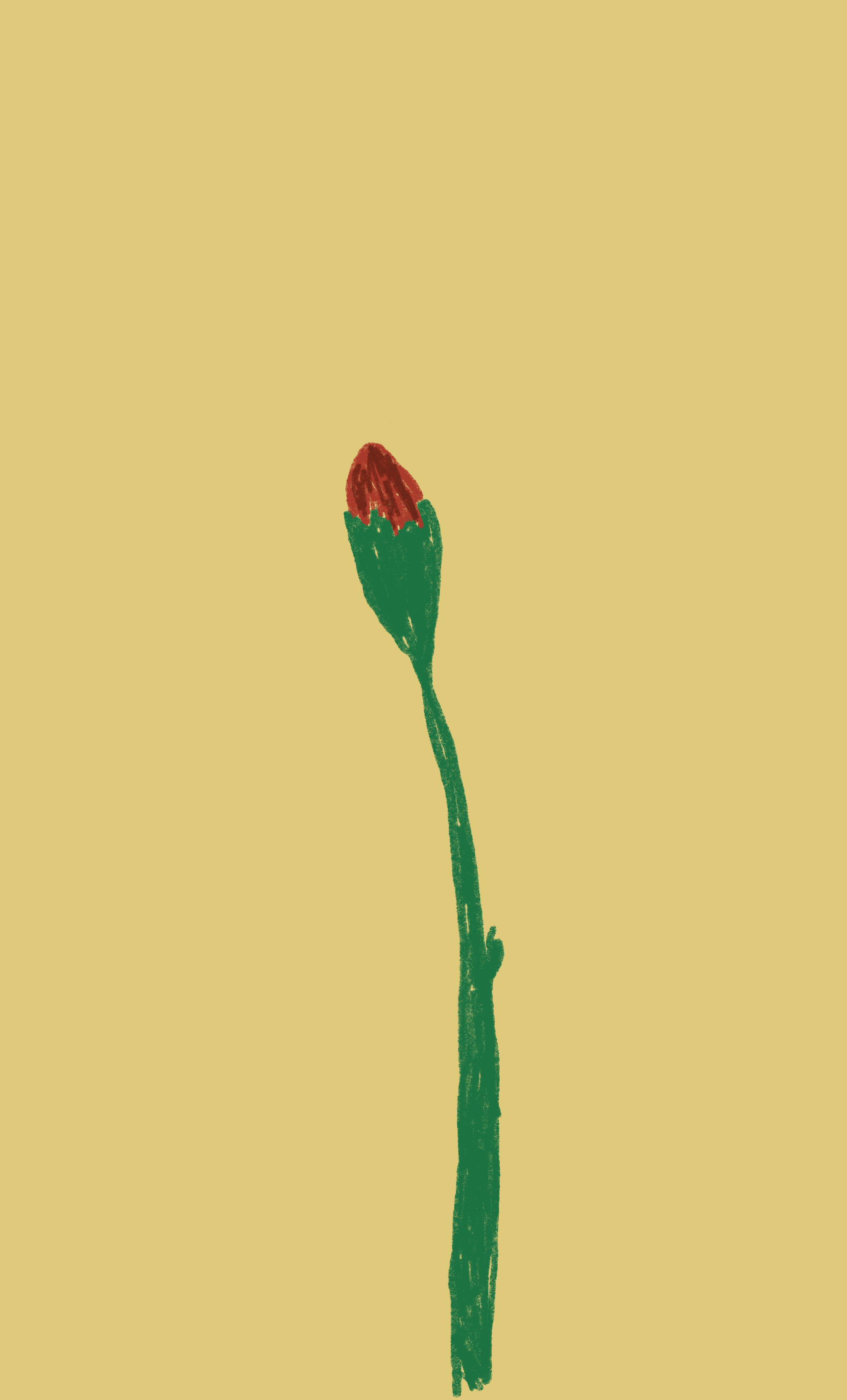 Flower animation 
