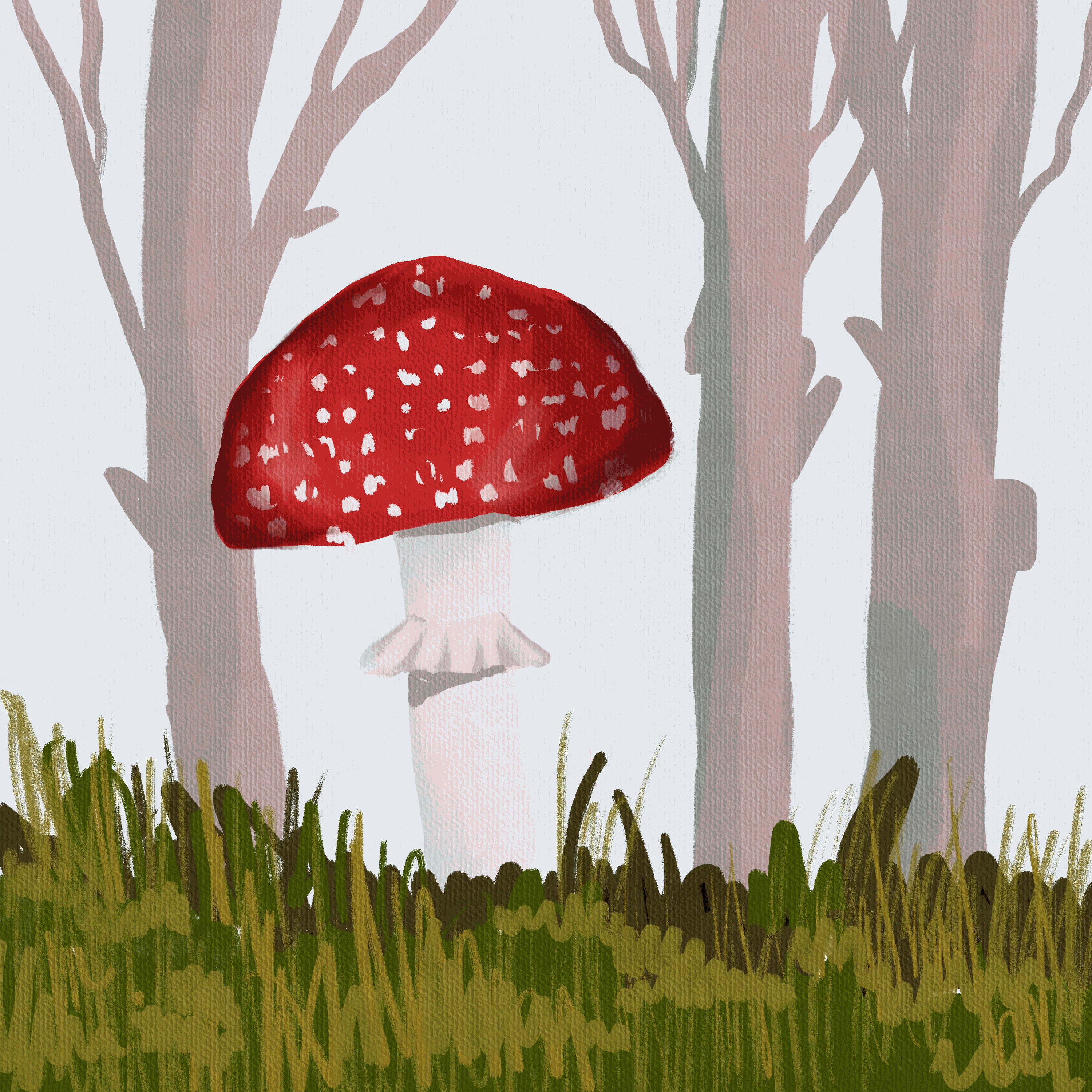 Mushrooms