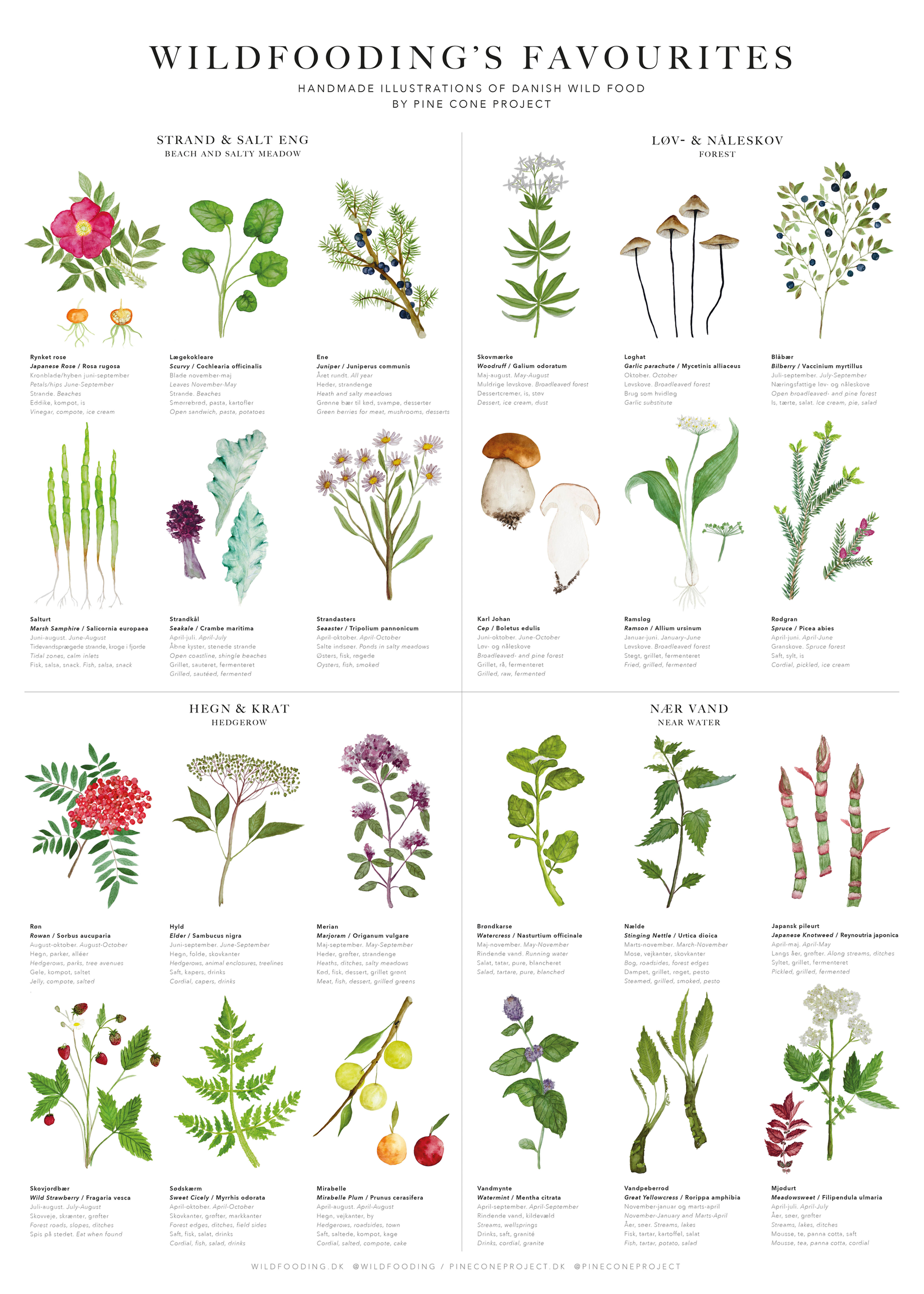 Wildfooding's Favourites