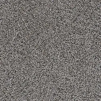 Miniatura: TRENDSETTER II