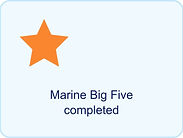 04-marine-big-five.jpg