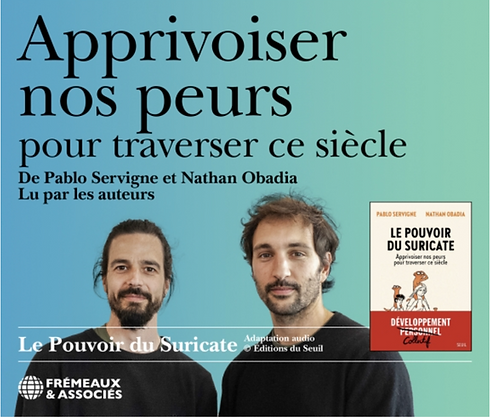 Capture d’écran 2025-11-13 à 12.47.00.png