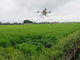  【散布代行レポート】埼玉県川島町