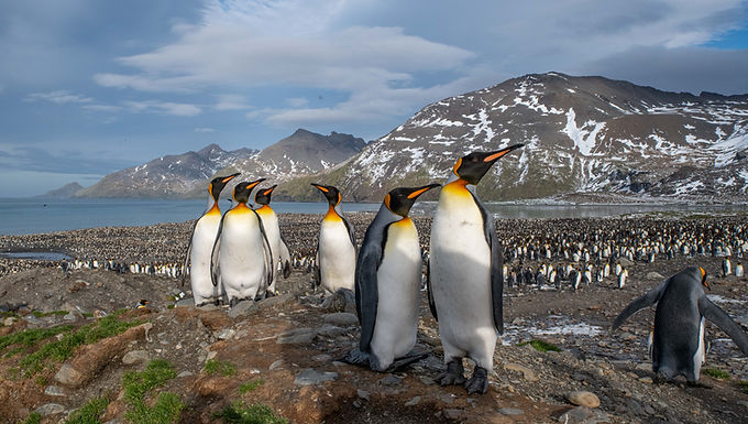 23-day Antarctica Complete with Aurora Expeditions