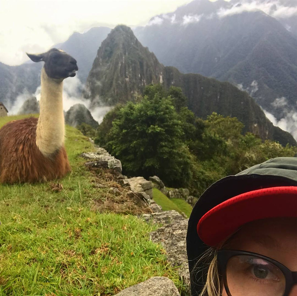 A llama at Machu Picchu with a traveller