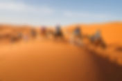 Why group travel is the best way to see the world