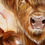 Thumbnail: Highlander Highland Cows Artwork - Original Painting by Australian Artist Emily Birdsey