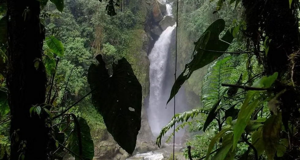 Screen Shot 2025-09-03 at 6.02.13 PM