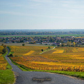Champagne Eric Rodez