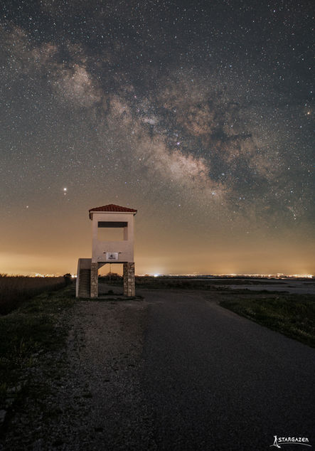 Bird Wathing Tower.jpg