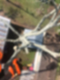 Web 4.jpeg