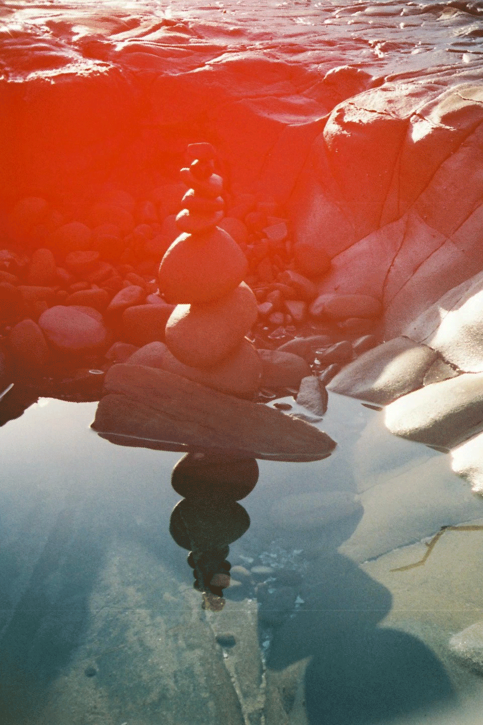 1817-006.gif