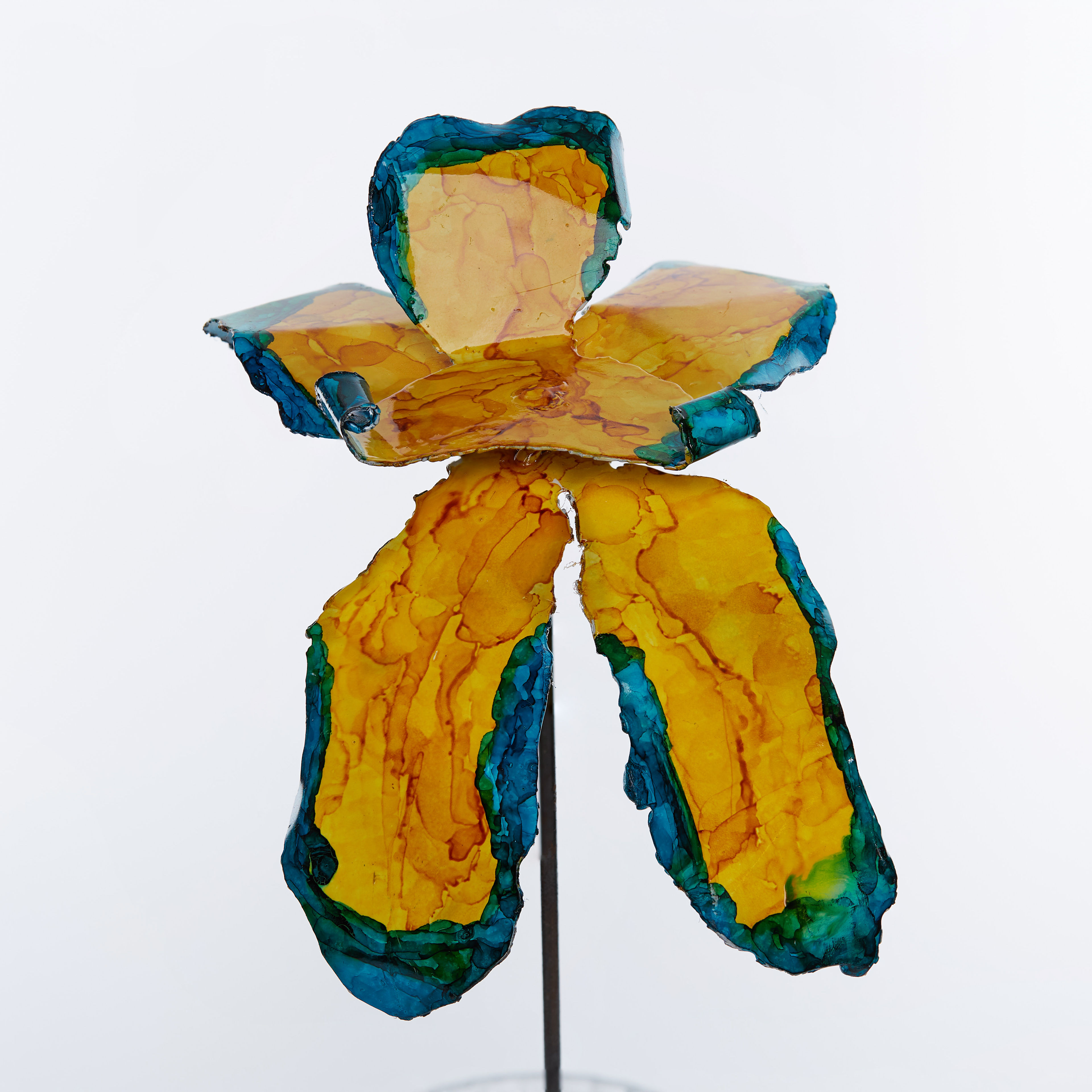 Yellow Blue-Green Orchid