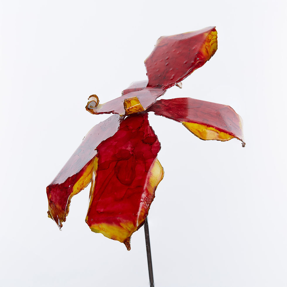 Thumbnail: Red Yellow Orchid