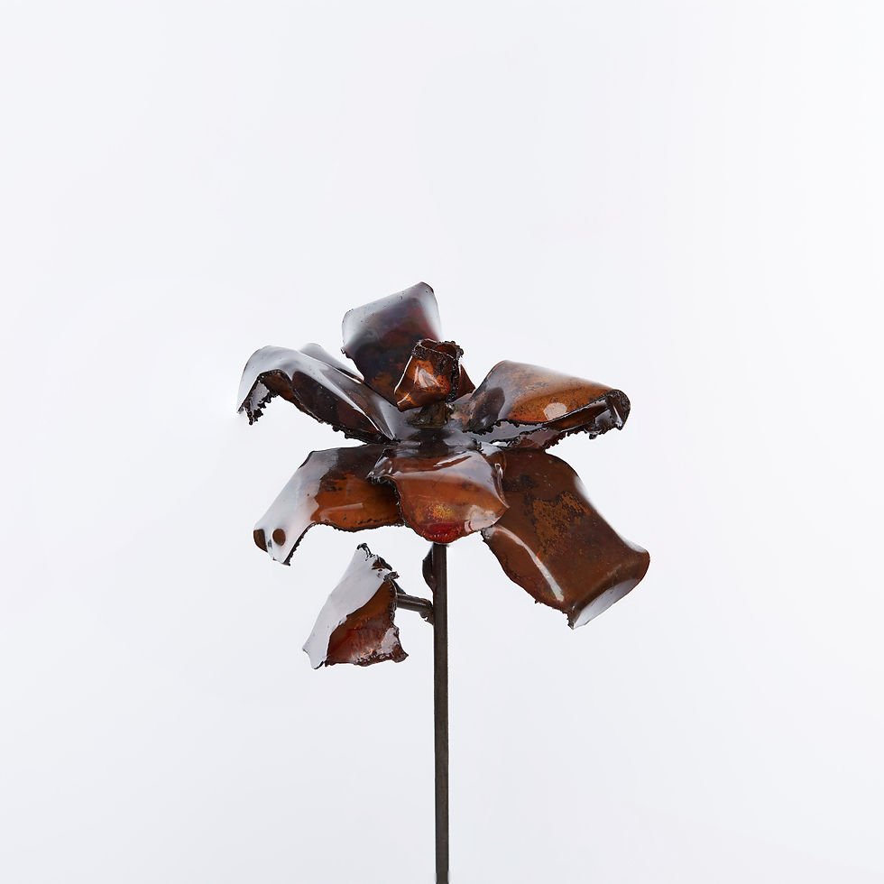 Thumbnail: Copper Rose
