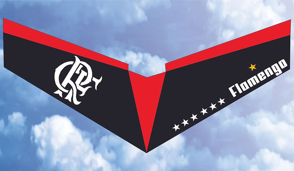ZAGI SEU TIME DE CORAÇÃO FLAMENGO