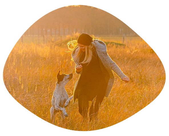 Hundephilusophie Mobiles Hundetraining Ludwigsfelde
