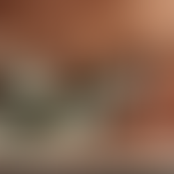 Top Kitchenware Products for Your Home